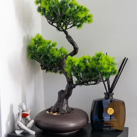 - Gare De Marly 公寓