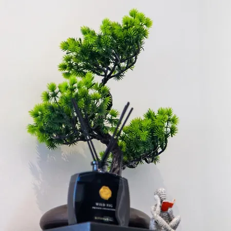 - Gare De Marly 公寓